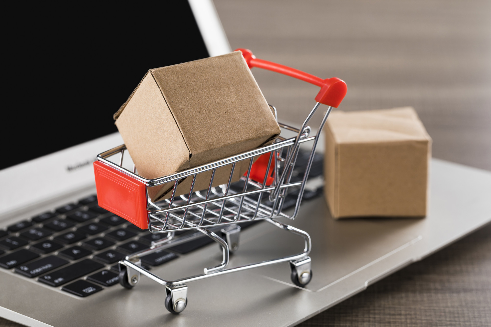 1710902646413288.jpg 3.jpg